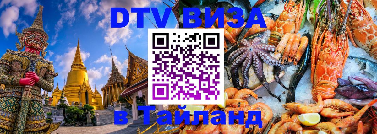 Сколько стоит DTV виза — актуальные цены, оформление даже без документов - Бишкек 